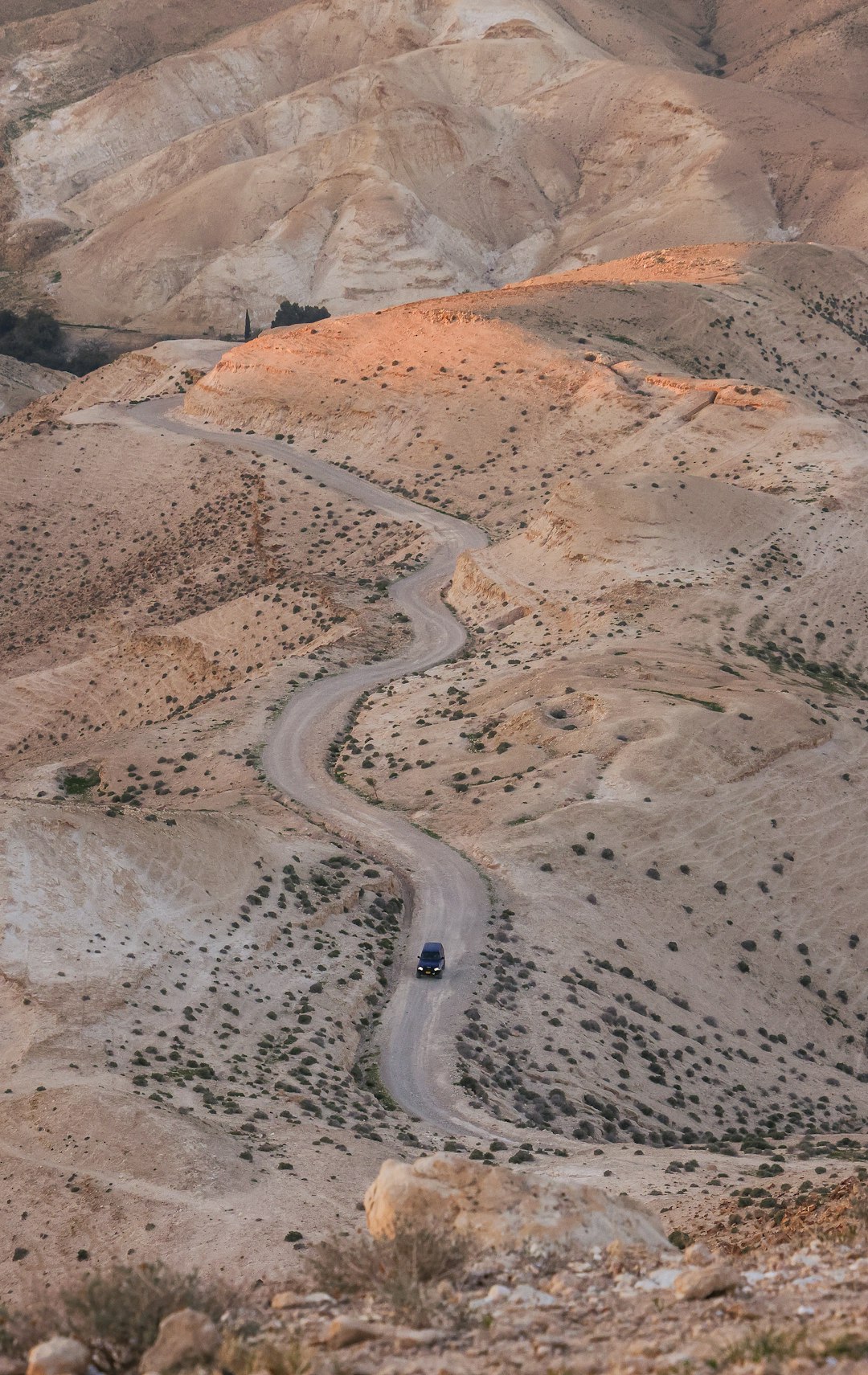 העצה המובילה לפני נסיעה לישראל: האם לשכור רכב בערים הגדולות או להסתפק בתחבורה ציבורית?